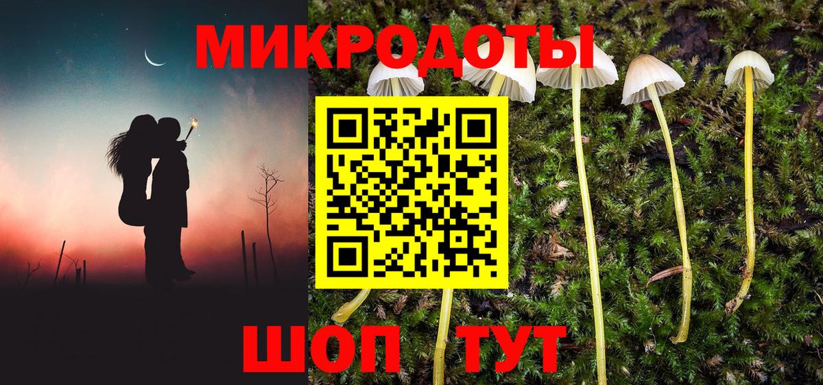 где купить наркоту  Галлюциногенные грибы мицелий  Вход с VPN  Котельники 